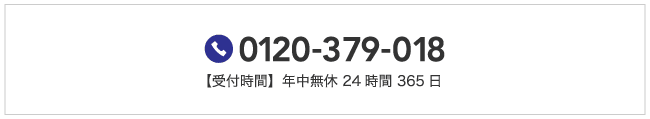 お問い合わせ電話番号 0120-379-018